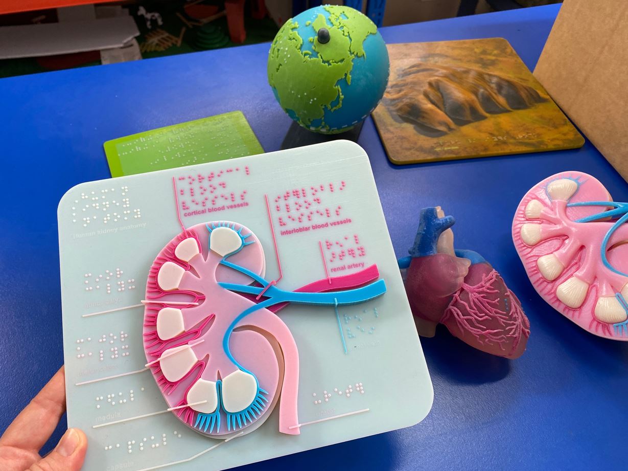 3d-hearted model
